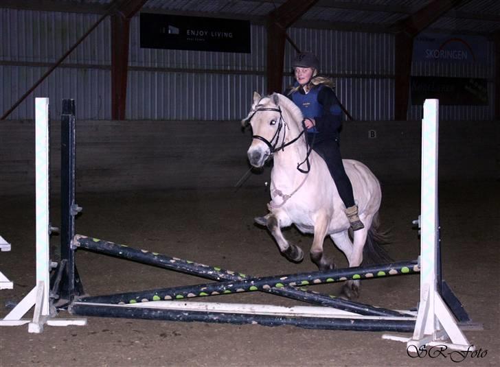 Fjordhest Flicka <3  - Første gang uden sadel xD - Hehe, hun var så fin den dag :D (Foto: Sarah R) | ´ JegElskerDigPony ´ | <.3 billede 10