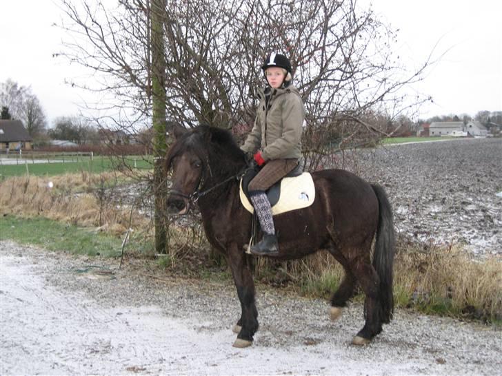 Anden særlig race Lego<3<3(tidl. part)<3<3 - Ude i sneen<3 Hehe;) billede 12