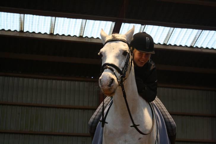 Connemara Don Quixote - don elsker at blive nusset og krammet med (: han kan også godt lide et godt kys :D haha. billede 3