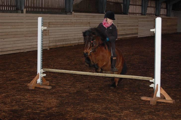 Anden særlig race Claus<3Gammel passerSOLGT - jeg springer på Claus<33 ca. 30 Cm.  billede 17