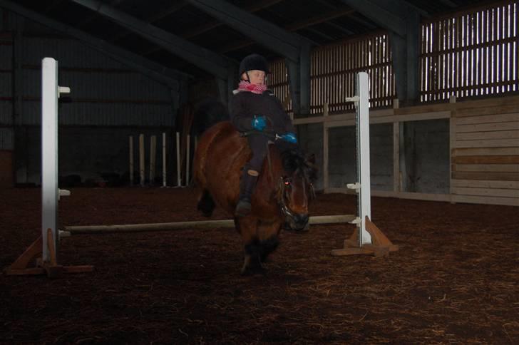 Anden særlig race Claus<3Gammel passerSOLGT - springer igen 30 Cm. Ca. men falder af bagefter HAHA :D billede 18