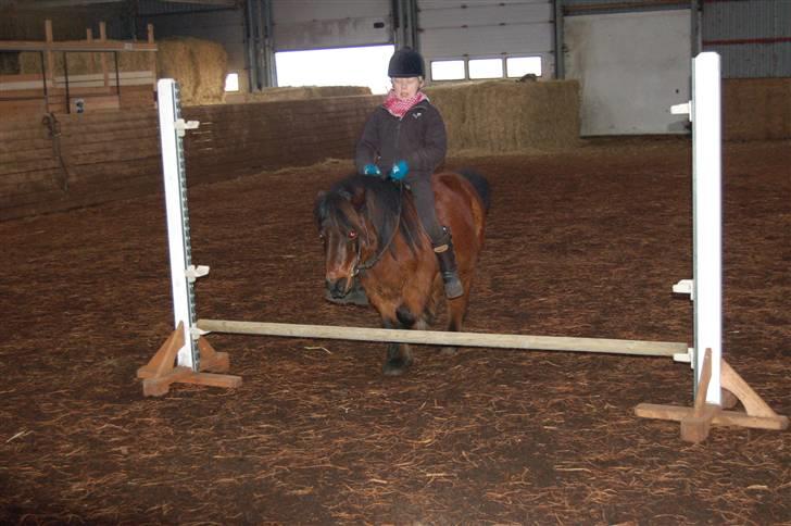 Anden særlig race Claus<3Gammel passerSOLGT - jeg springer også her 30 cm ca.  billede 19