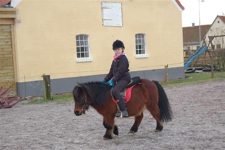 Anden særlig race Claus<3Gammel passerSOLGT - her skridter jeg stille og roligt;D billede 20