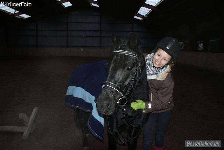 Dartmoor Jarrick - Mig & Jarrick inde i ridehallen (; billede 2