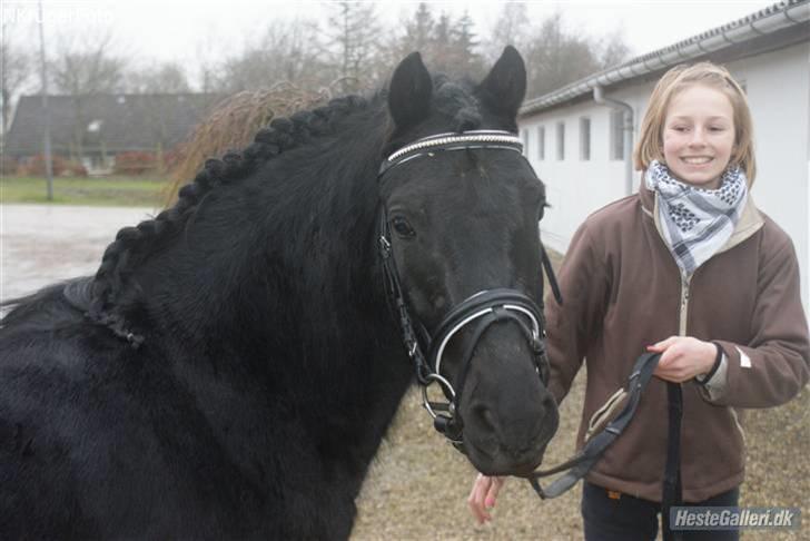 Dartmoor Jarrick - Lømlen har opdaget kameraet xD<3. billede 3