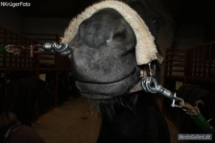 Dartmoor Jarrick - Cute ^^ <3. billede 5