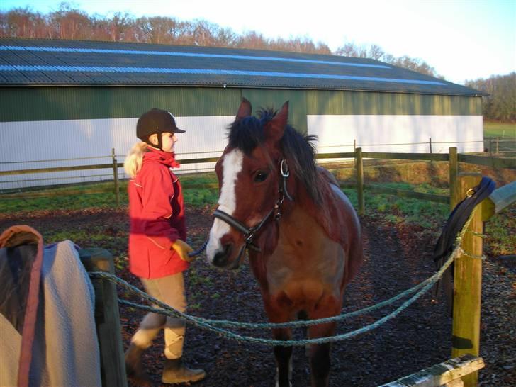 Anden særlig race Lucy<3Aflivet&savnet<3 - Elsk på Lucy; 4-01-09 billede 9