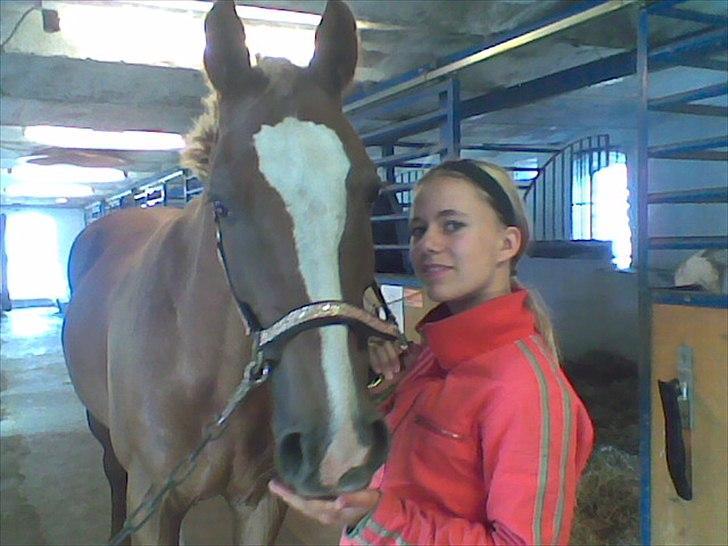 Anden særlig race The Showman billede 19