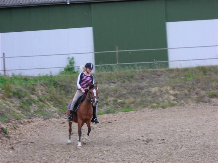 Anden særlig race Lucy<3Aflivet&savnet<3 - Sommer ridetur nyt.. billede 10