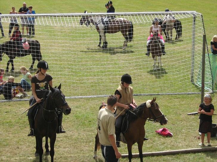 Anden særlig race Lucy<3Aflivet&savnet<3 - Vi fandt en 1. plads til ringridning.. mig og lucy er bare alt for gode til det! billede 12