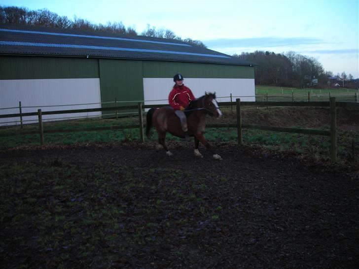 Anden særlig race Lucy<3Aflivet&savnet<3 - Galop, man kan se jeg griner:p ; 4-01-09 billede 14