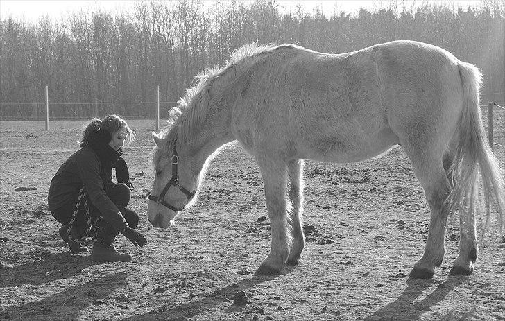 Anden særlig race | Flaks |Soulmate † R.I.P - #14 Du kan give mig ét blik, og så smelter mit hjerte helt. Jeg har og vil aldrig elske én så meget som dig! Foto: ©Terp billede 14