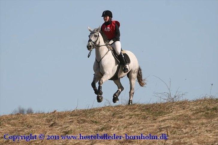 Anden særlig race Skipper Mønstergård. *A-Pony* - Årets første militarystævne. CNCP1* 1.Plads med 49 i straf.  billede 8