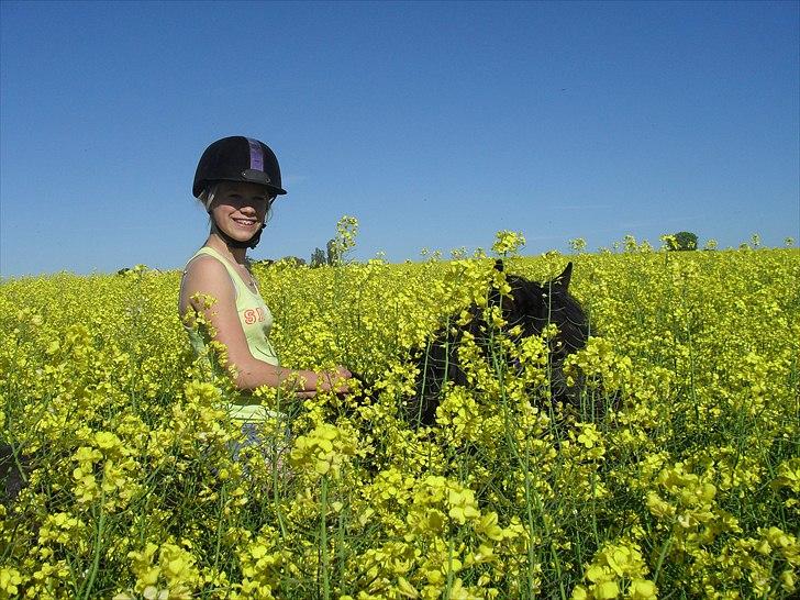 Anden særlig race Viktor (solgt) ;( billede 7