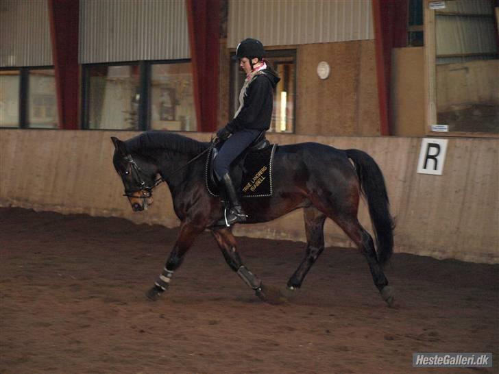 Anden særlig race Yasya [ solgt]  - 6) Yasya og jeg, træning :) elsket og savnet <3 Foto: Line skat <3 billede 6