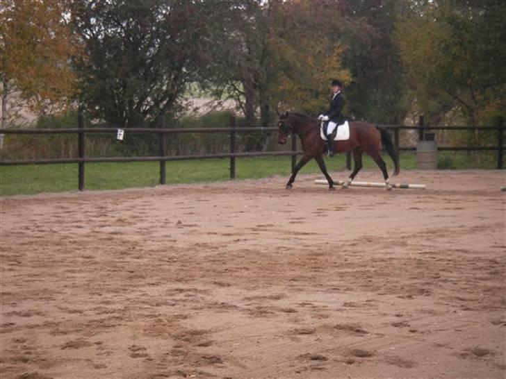 Oldenborg Horsebjerg Twister billede 18