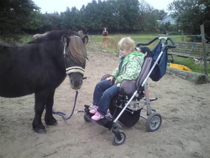 Anden særlig race stella aka madam :D - madam og nanna  billede 3