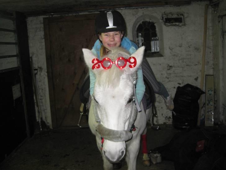 Welsh Cob (sec D) Silvermoon - Mig og Sille er kommet godt ind i det nye år, det kan i se <3 billede 15