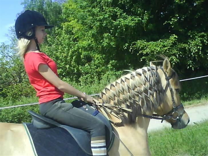 Anden særlig race Stella **SOLGT** - Mig der rider på Stella  billede 2