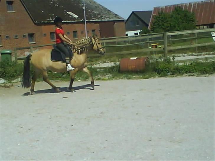 Anden særlig race Stella **SOLGT** - Stella musen <3 billede 5