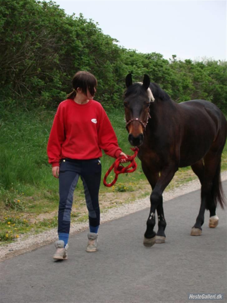 Anden særlig race Yasya [ solgt]  - 13) ... billede 13