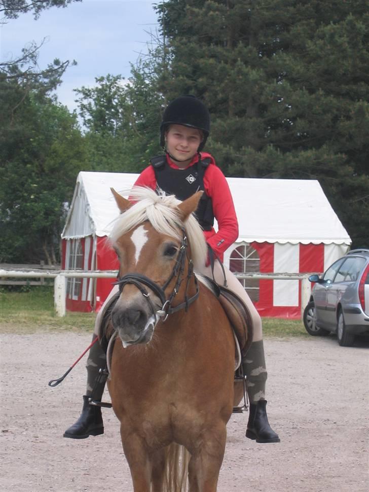 Haflinger Charming Cilla - Emilie & Cilla igen billede 5