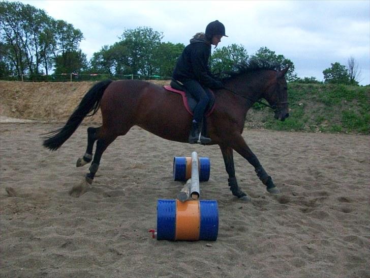 Anden særlig race quinta Soglt billede 9