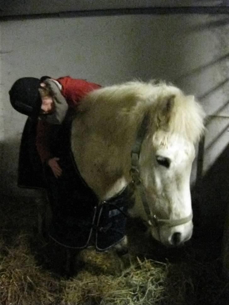 Islænder BLEIKALÁ FRA MALLE - Fordi jeg stoler på dig.. <3 billede 7