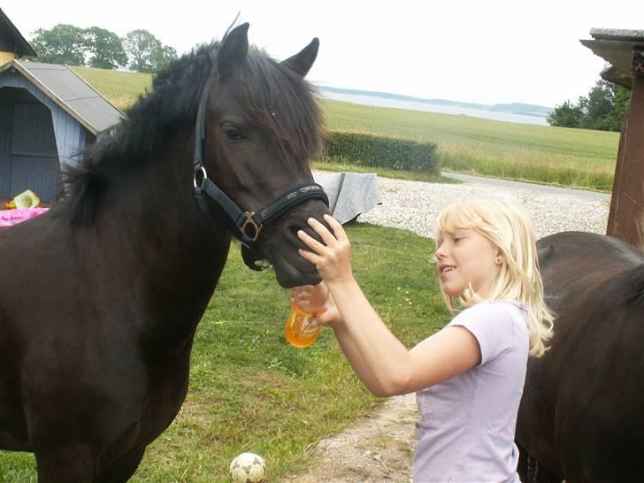 Anden særlig race Lokjærs Jasmin billede 5