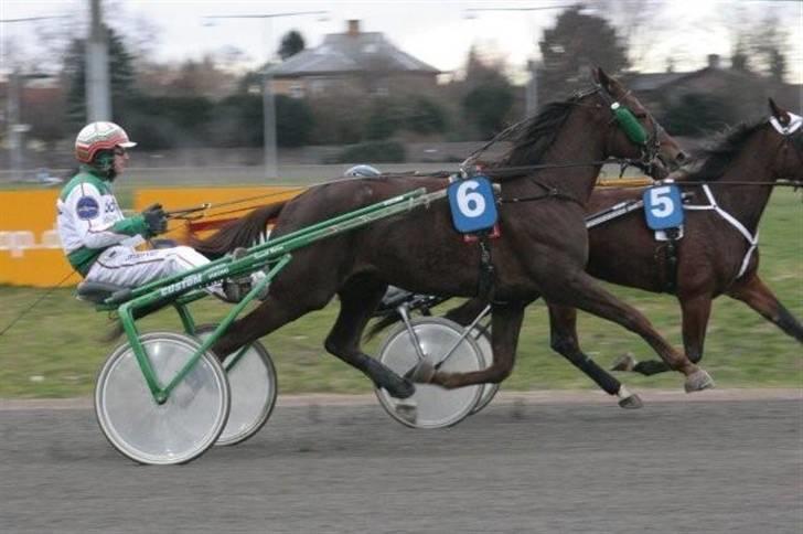 Traver Montana Sølvtop billede 16