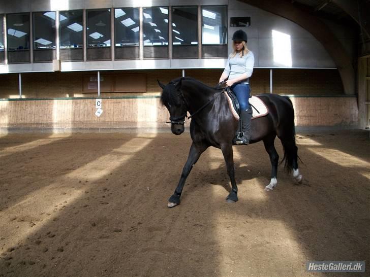 Anden særlig race Je'taime - D. 21/9 - 09 - taget af Maria Erfurt<3 billede 9