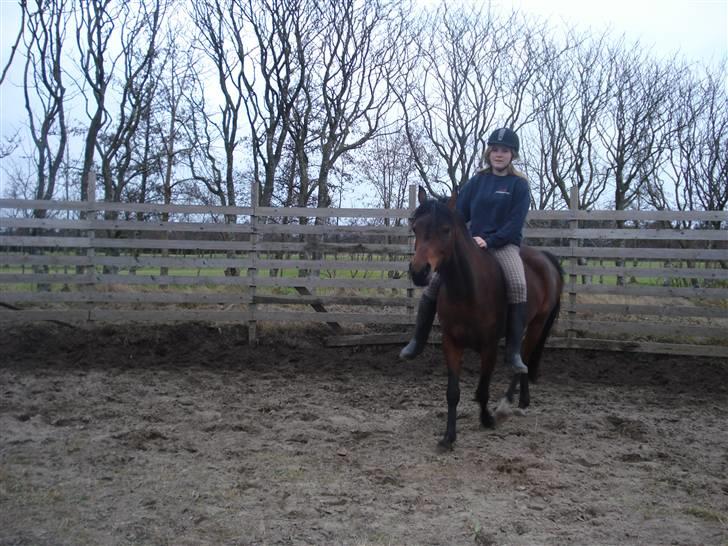 Arabisk fuldblod (OX) Halima *passede* <3 - Together we can do everything? 26.01.09 Foto: Kamille billede 18