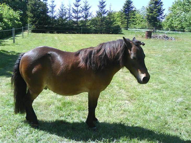 {{currentPhoto.altText}} billede {{currentPhoto.number}}