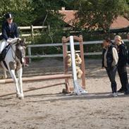 Anden særlig race Smarties