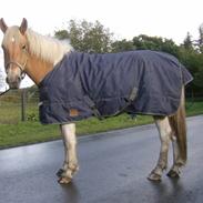 Anden særlig race loke