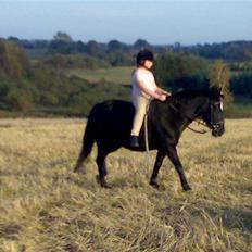Anden særlig race freja
