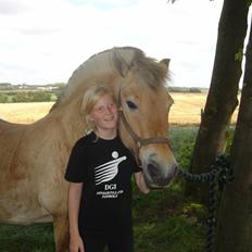 Fjordhest Mia-Maja (SOLGT)