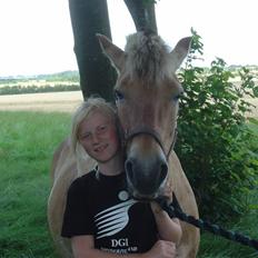 Fjordhest Mia-Maja (SOLGT)