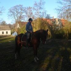 Anden særlig race kasper