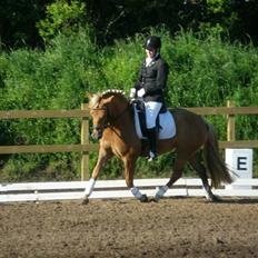 DSP Miss Buterfly *SOLGT*