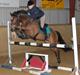 Tysk Sportspony Chemin de Royal Solgt