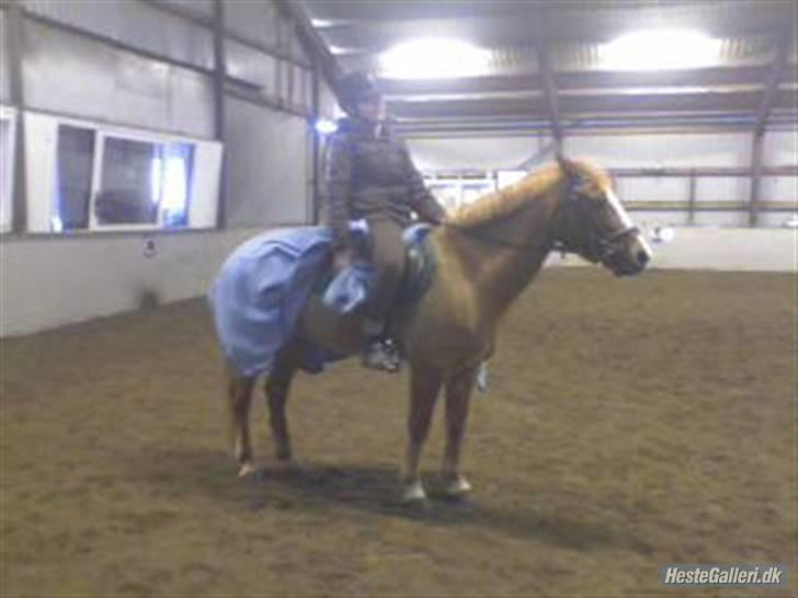 Anden særlig race o´malley<3<3 (miss you)  billede 5