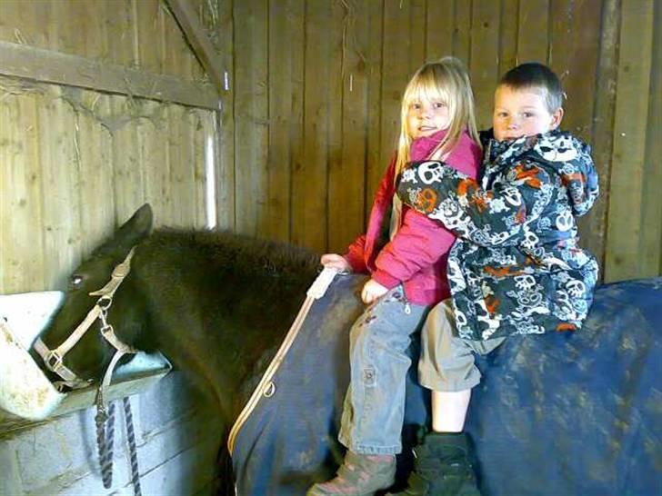 Anden særlig race freja - vi spiser bare videre selvom der er noget på ryggen.. billede 5