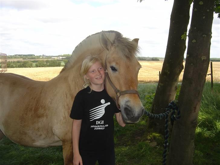 Fjordhest Mia-Maja (SOLGT) - Lige før vi tog til vorbasse marked  billede 2
