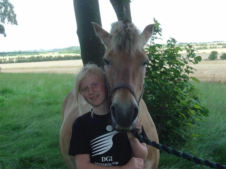 Fjordhest Mia-Maja (SOLGT) - Lige før vi tog til vorbasse marked  billede 3