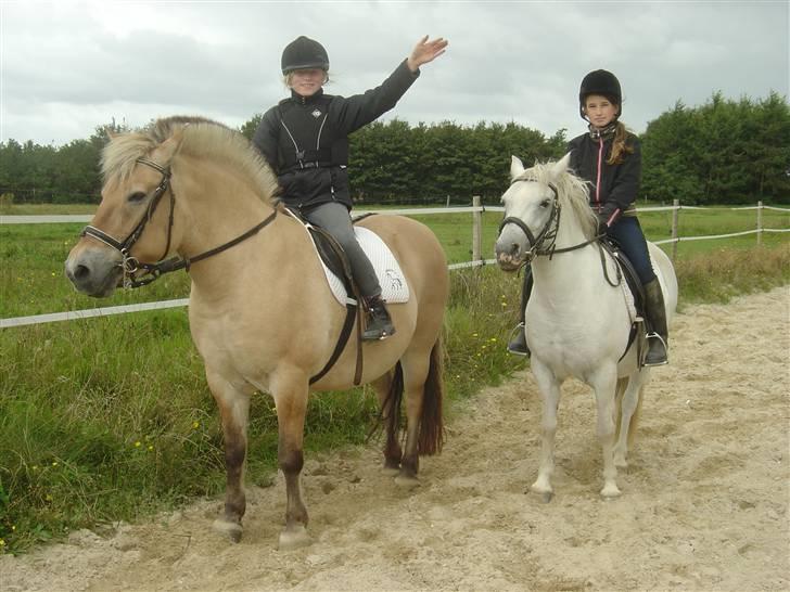 Fjordhest Mia-Maja (SOLGT) - Mig og min veninde:-) billede 5