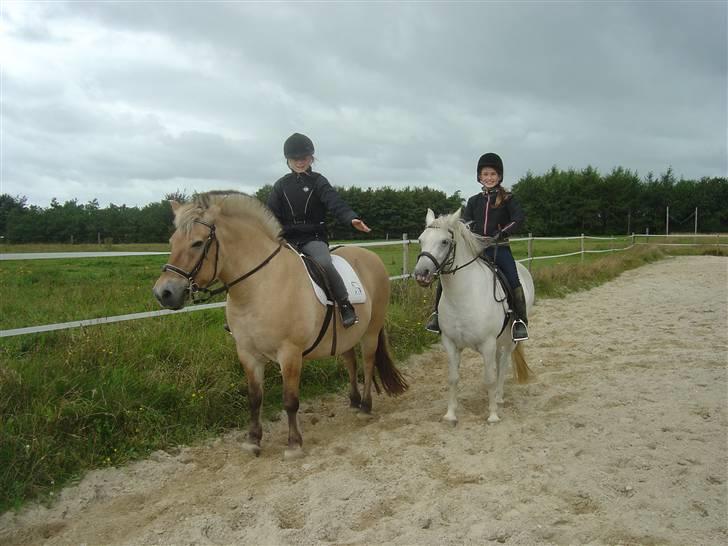 Fjordhest Mia-Maja (SOLGT) - Mig og min veninde (Nadia) var ude og ride sammen  billede 9