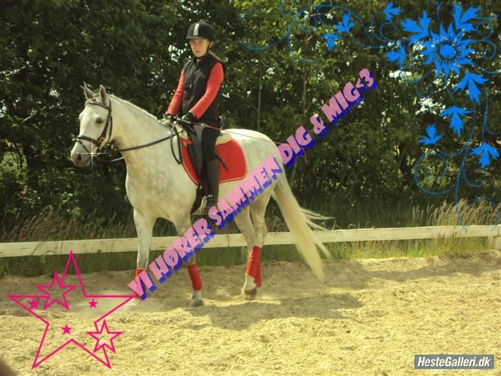 DSP Holmgaards Galant Solgt - Mig og kalle <3 elsker dig :) 7 juni 09 . billede 7