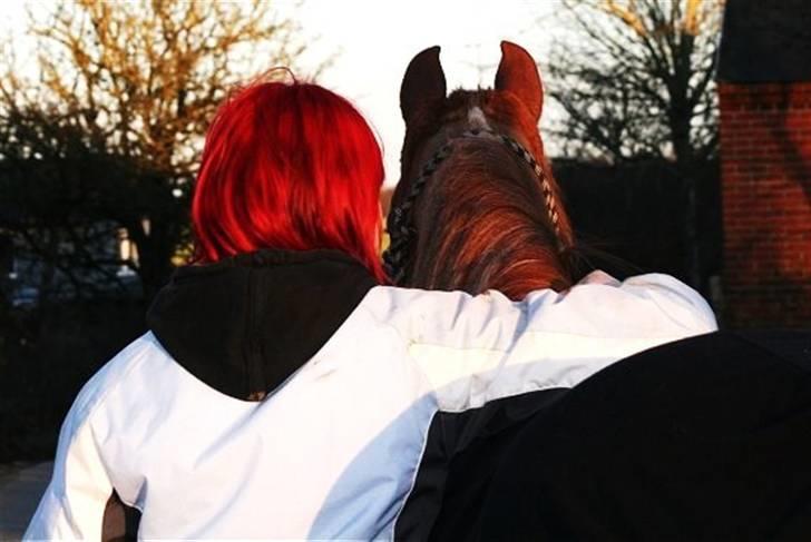 Arabisk fuldblod (OX) Ma-Ajmala - Malle og jeg <3 billede 7