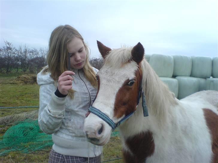 Anden særlig race Candy-gamel part - hihi :) billede 18